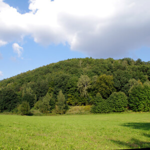 Foto vom Burgberg Lastau